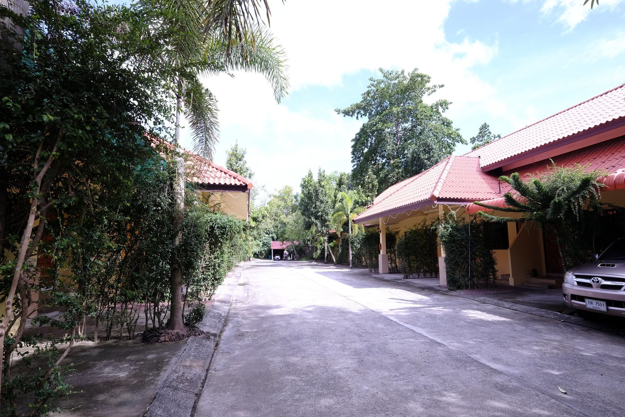 Sp 2*